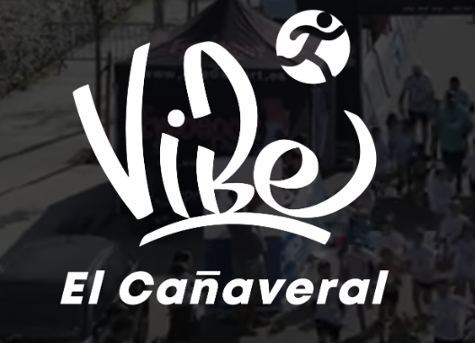 Nobuzen articulo vibe canaveral recorte logo
