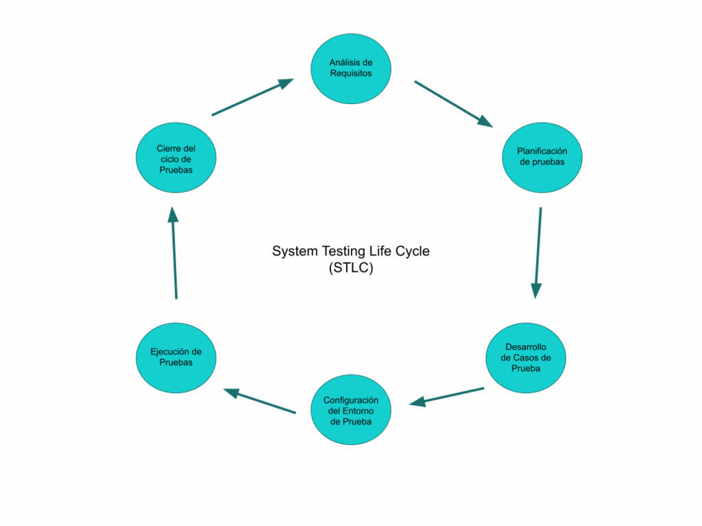 Nobuzen portfolio app SaaS grafico fases testing